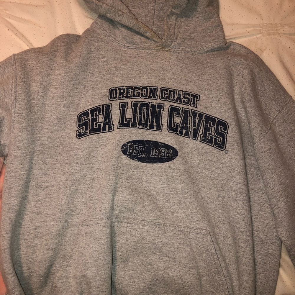 Grey hoodie
